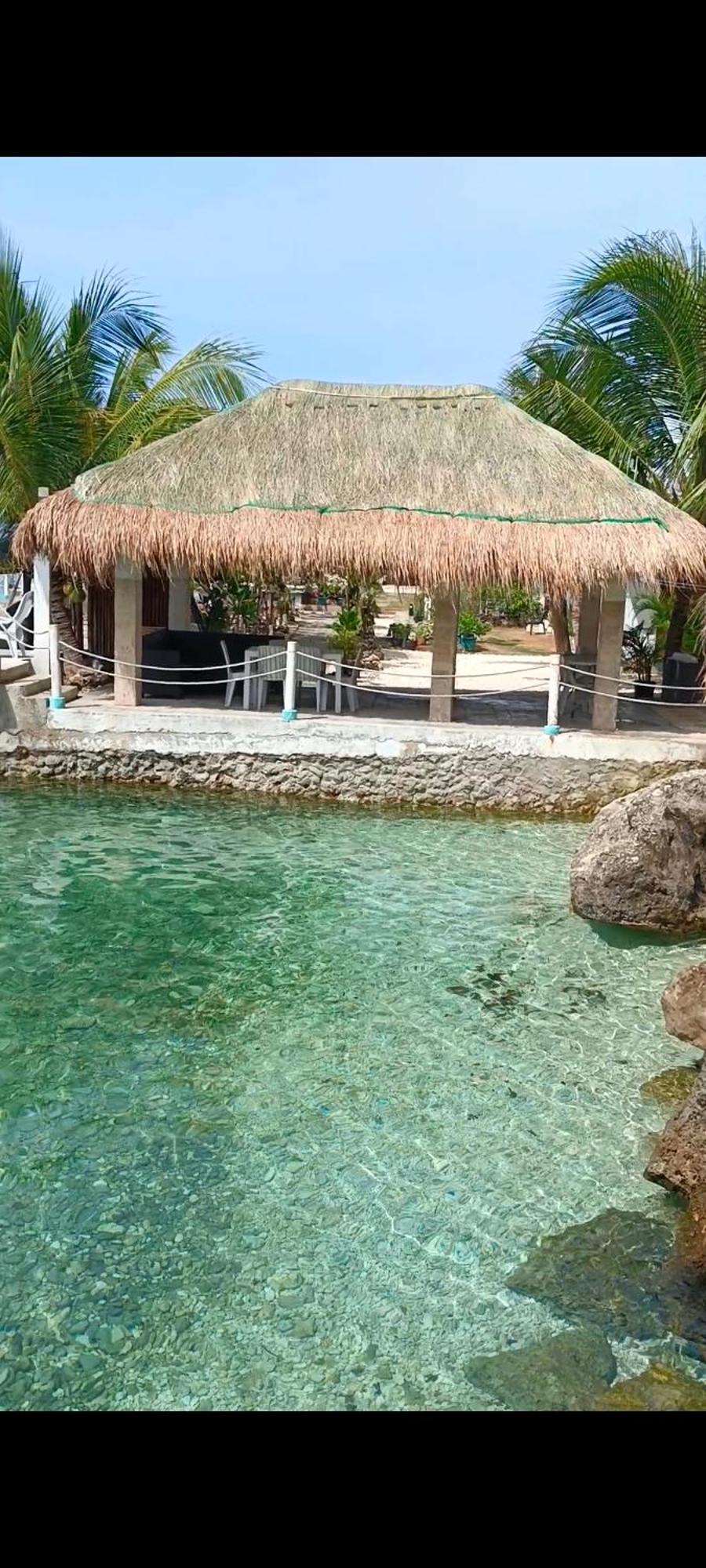 Seascape Beach Resort أوسلوب المظهر الخارجي الصورة
